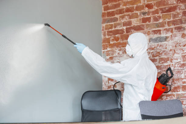 Best Mold Odor Removal Services  in Woodcliff Lake, NJ