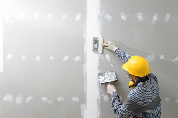  Woodcliff Lake, NJ Mold Removal Pros
