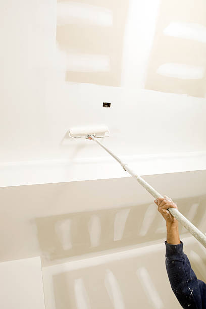 Best Black Mold Removal  in Woodcliff Lake, NJ